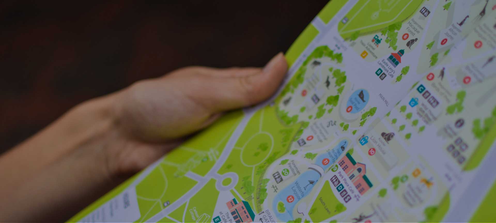 Regional Information